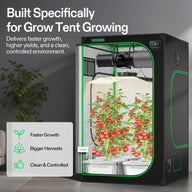 VIVOSUN DWC hydroponic system with tomato plants, VIVOSUN grow tent, fan, and grow light.