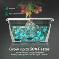 Vivosun FlexFeed DWC hydroponic system: tomato plant, roots in oxygenated water, grow faster.