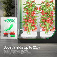 Vivosun DWC hydroponic system with lush tomato plants, showing a 25% yield increase with before/after harvest baskets.