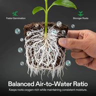 Vivosun FlexFeed DWC System: A seedling with healthy roots in soil, surrounded by H2O and O2 bubbles, illustrating faster germination & stronger roots.