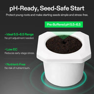 White pot with soil, 