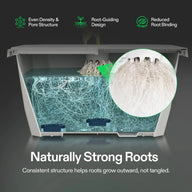 Vivosun FlexFeed DWC system with lush, strong roots and text highlighting even density, root guiding, and reduced binding.