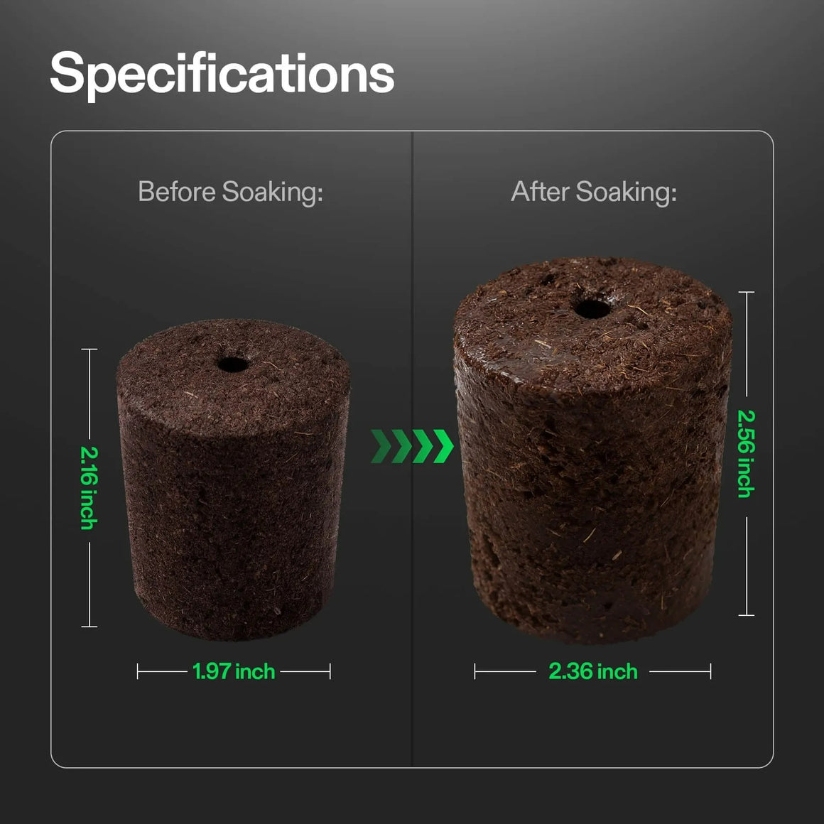 A side-by-side comparison of a seed starter plug before and after soaking, showing dimensional changes.