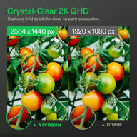 Vivosun GrowCam C4: 2K QHD vs 1080p image of tomatoes. 2K shows vivid detail, 1080p is less clear.