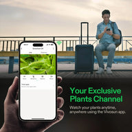 Vivosun GrowCam C4 app on phone shows Venus flytrap live view. Man with luggage checks phone.
