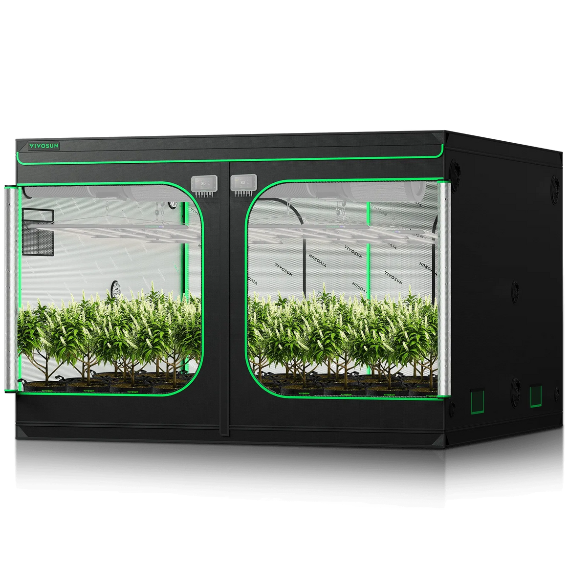 A Vivosun grow tent with two compartments, each holding rows of flourishing plants.