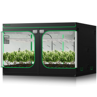A Vivosun grow tent with two compartments, each holding rows of flourishing plants.