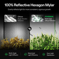 VIVOSUN 100% reflective hexagon mylar grow tent with multi-angle diffuse reflection and even light distribution for vigorous plant growth.