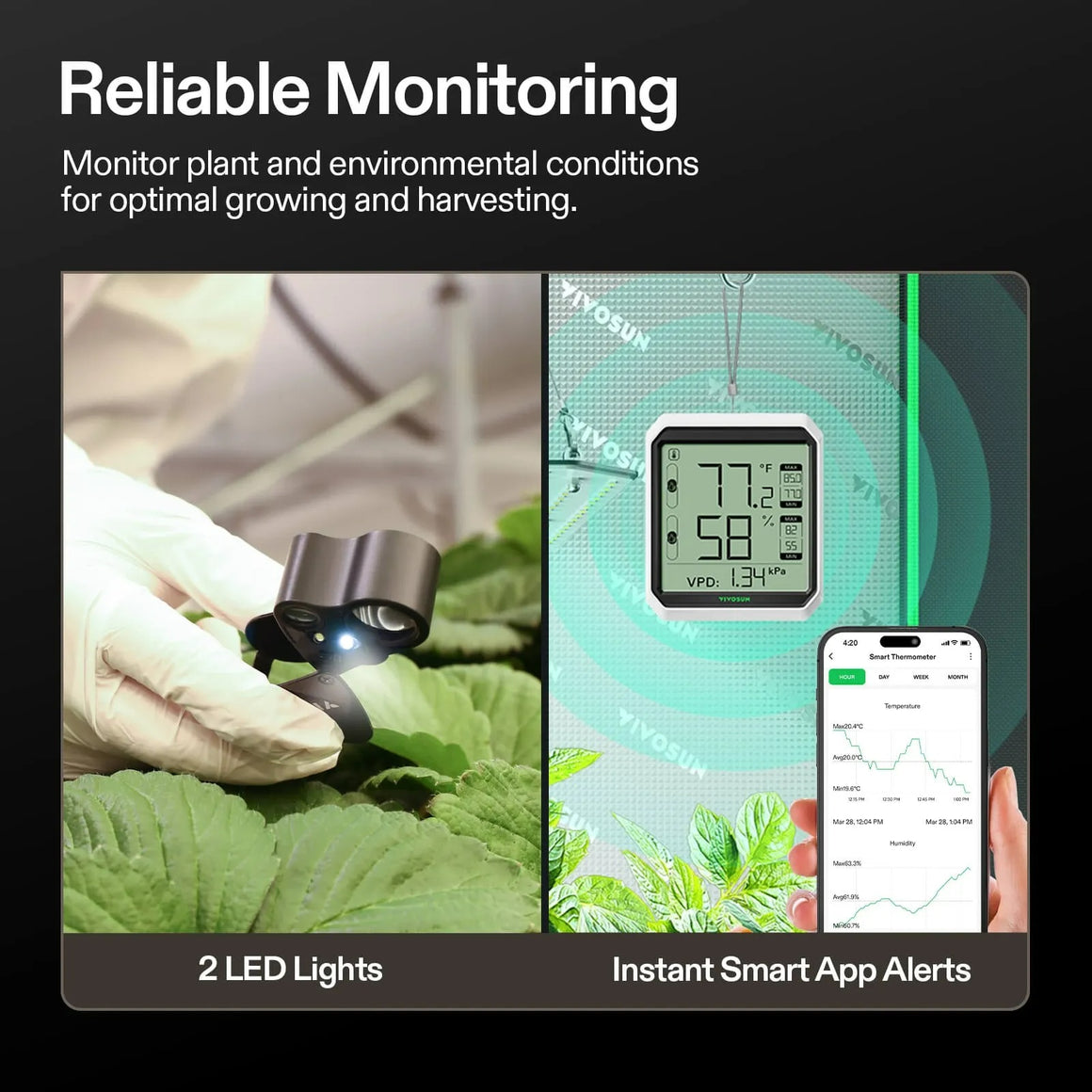 Vivosun digital thermometer shows 77°F, 58% humidity, and 1.34 kPa VPD. App displays temperature and humidity graphs.