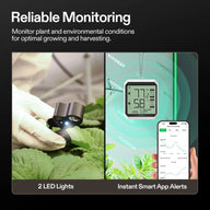 Vivosun digital thermometer shows 77°F, 58% humidity, and 1.34 kPa VPD. App displays temperature and humidity graphs.