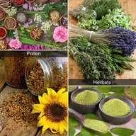 Collage of botanical elements: dried herbs like lavender and rosemary, jars of bee pollen, a sunflower, and green powders in bowls.