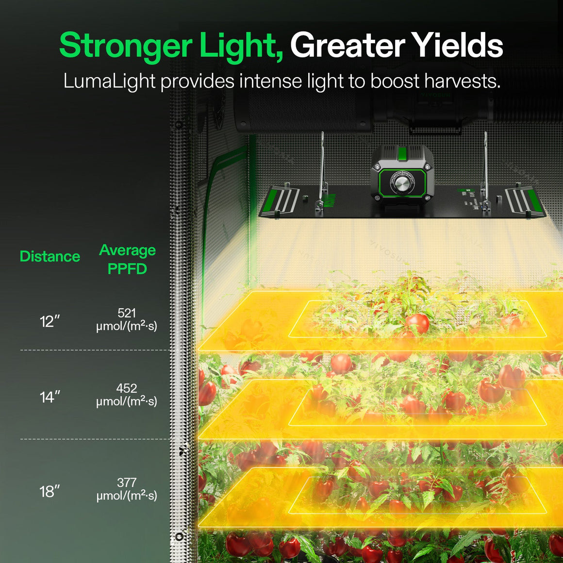Vivosun LumaLight 100W grow light in a tent with red bell peppers, showing PPFD light intensity at varied distances.