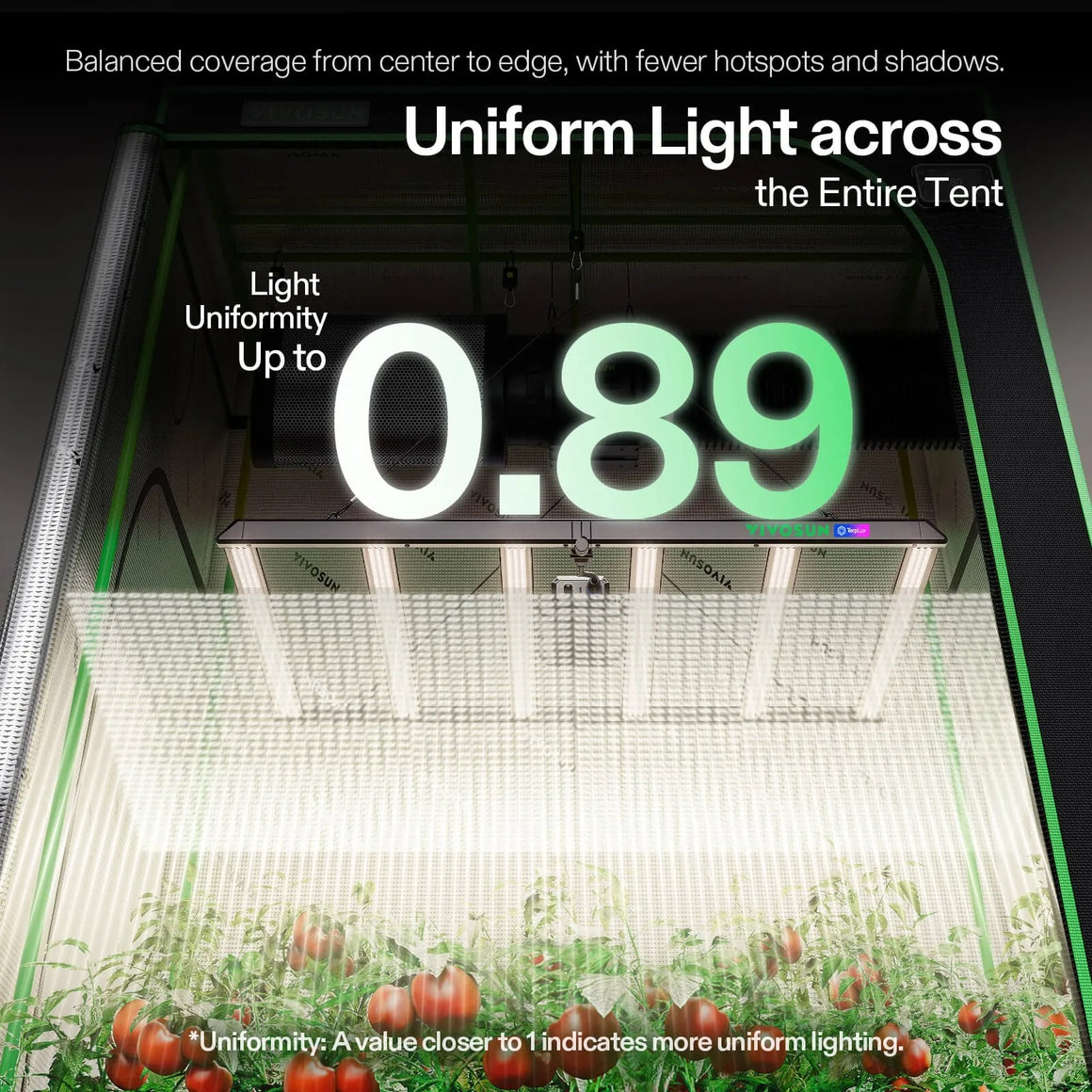 VIVOSUN Lumalight 320W LED grow light with 0.89 uniformity in a grow tent over tomato plants.