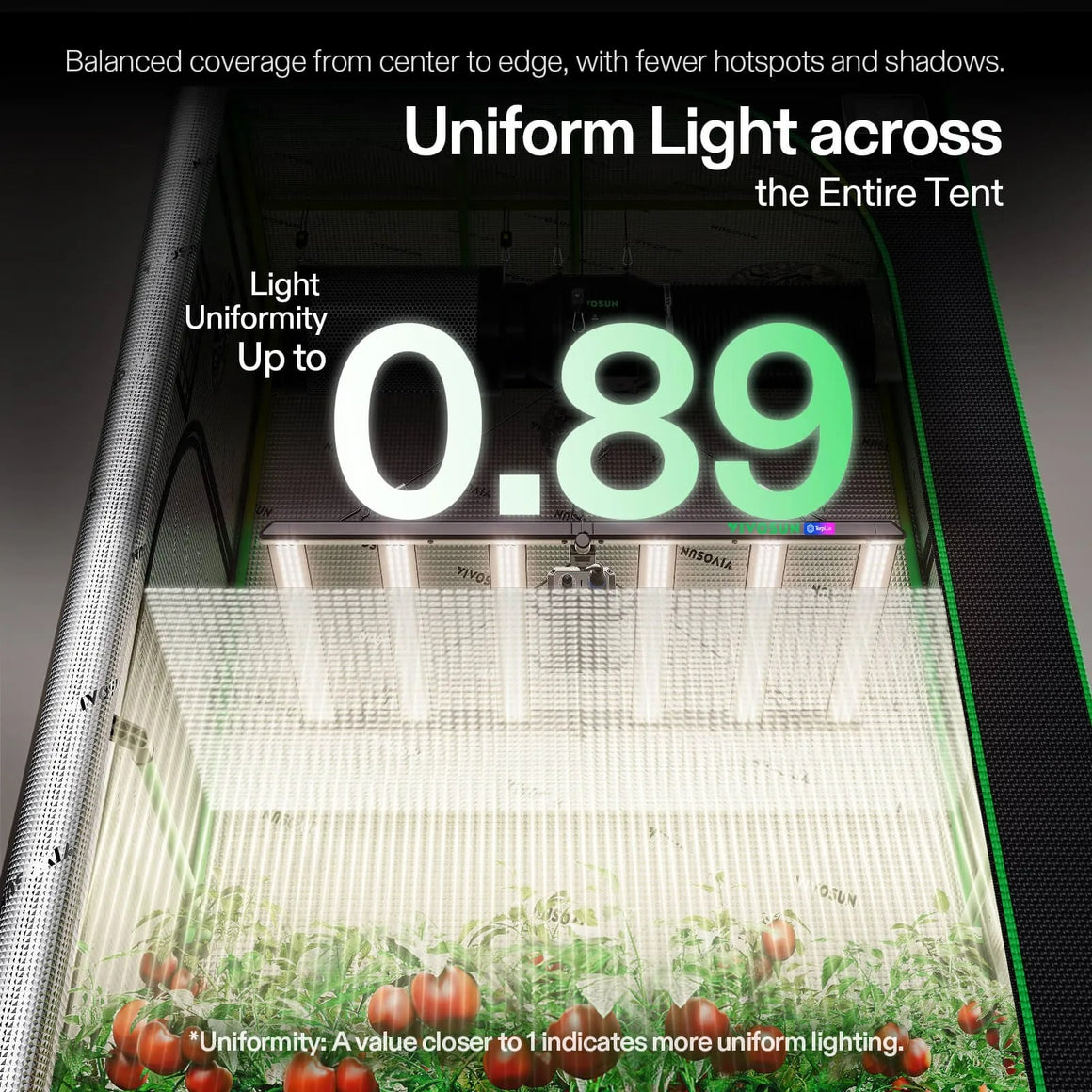 VIVOSUN Lumalight 750W LED grow light with 0.89 light uniformity across the tent, illuminating tomato plants.