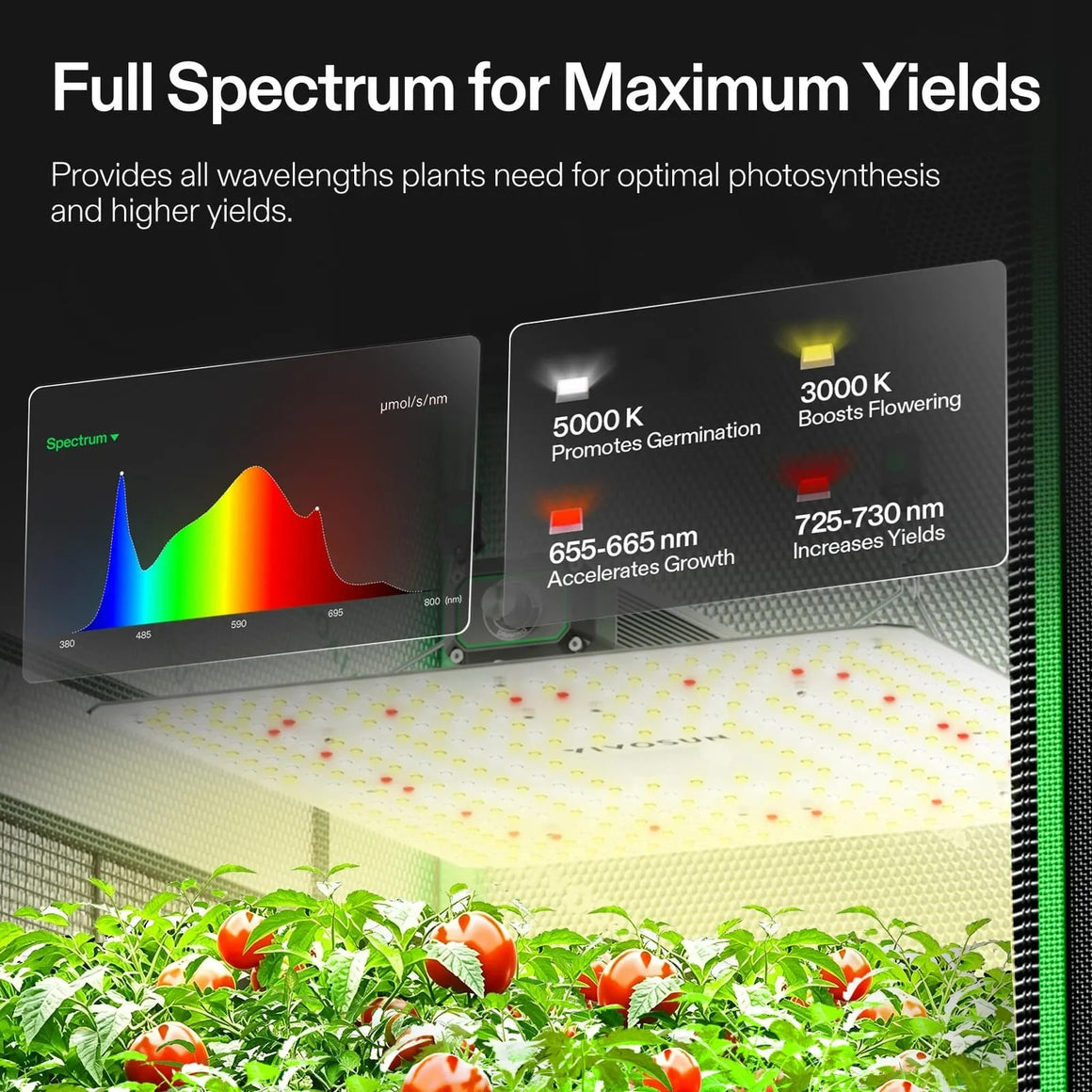 VIVOSUN full-spectrum LED grow light illuminating tomato plants, showing spectrum graph & light output details.