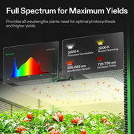 VIVOSUN full-spectrum LED grow light illuminating tomato plants, showing spectrum graph & light output details.