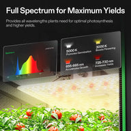 Full spectrum grow light over tomato plants, showing spectrum graph and LED wavelengths for germination, growth, and flowering.