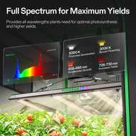 VIVOSUN smart grow light illuminates tomato plants, showing a spectrum graph and emphasizing optimal growth.