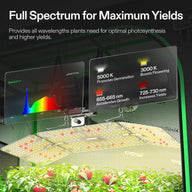 VIVOSUN full spectrum LED grow light in tent with plants and spectral analysis.