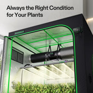 VIVOSUN 5x5 smart grow tent kit with plants, lights, and ventilation.