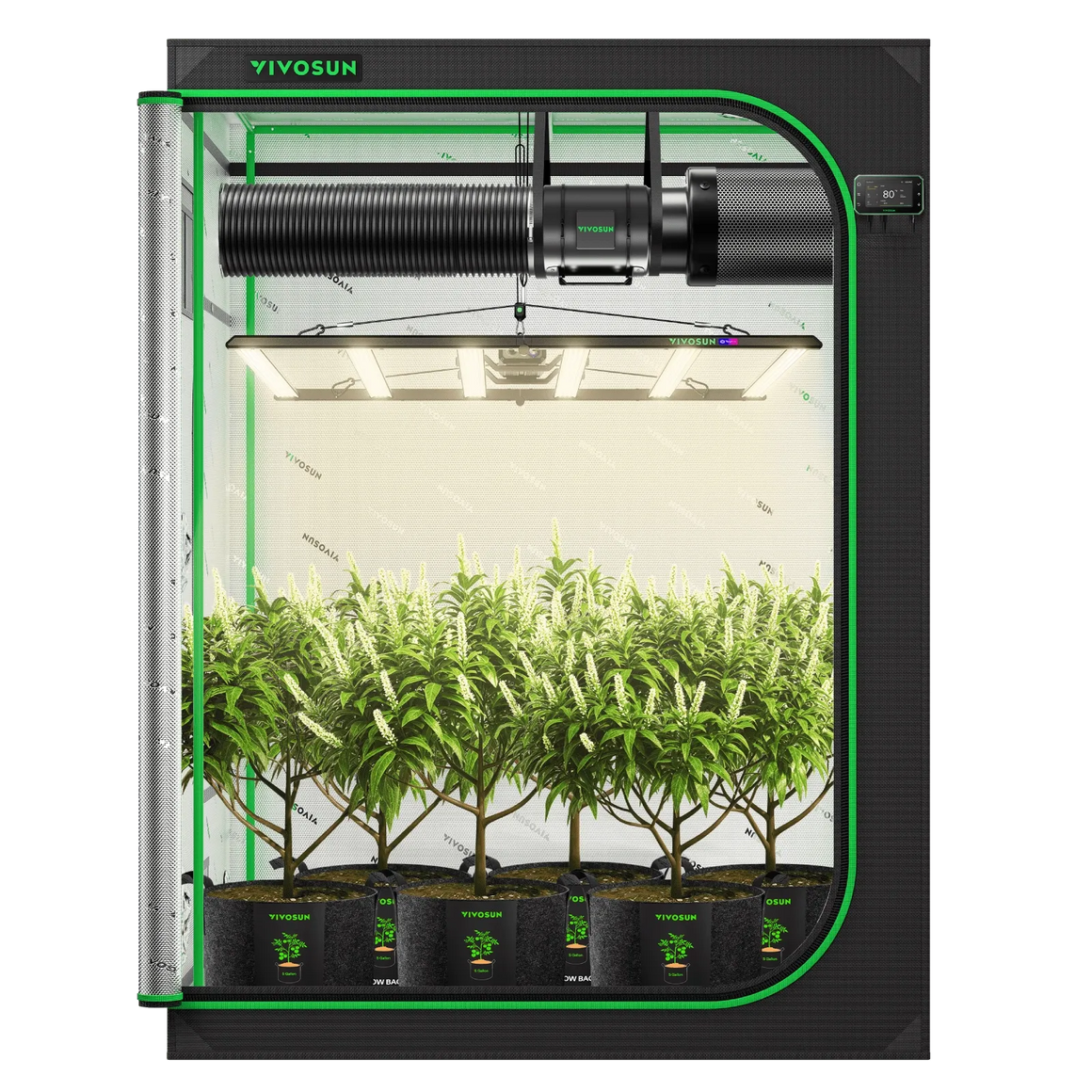 Vivosun 5x5 grow tent kit with LED lights, fan, filter, and thriving plants.