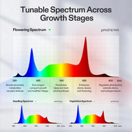 VIVOSUN spectrum charts for seedling, vegetative, and flowering stages.