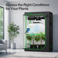 VIVOSUN grow tent kit with LED light, fan, and filter for optimal plant growth.