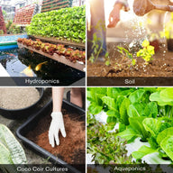 Collage of gardening techniques: hydroponics, soil, coco coir cultures, and aquaponics.