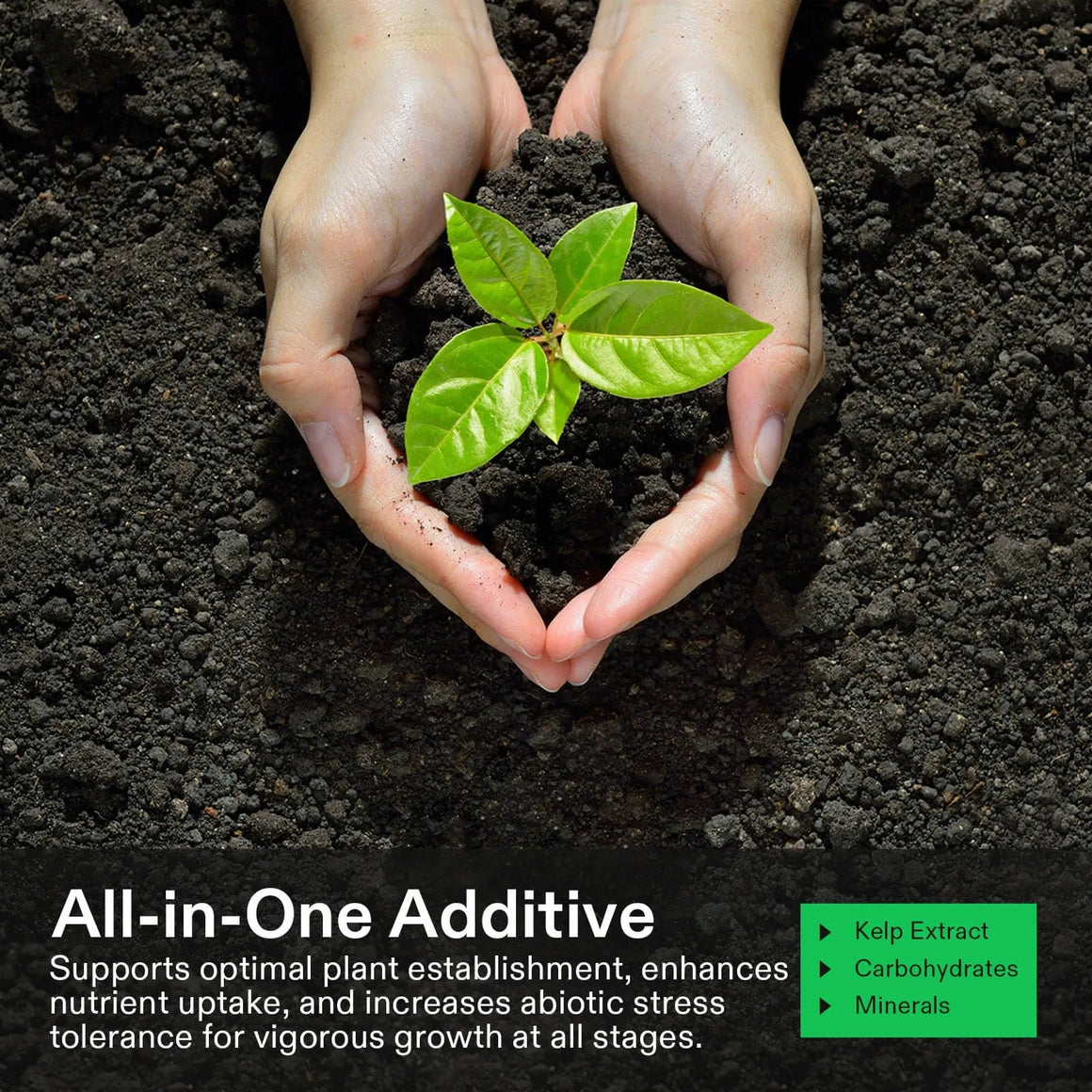 Hands hold soil with a green seedling. Text highlights "All-in-One Additive."