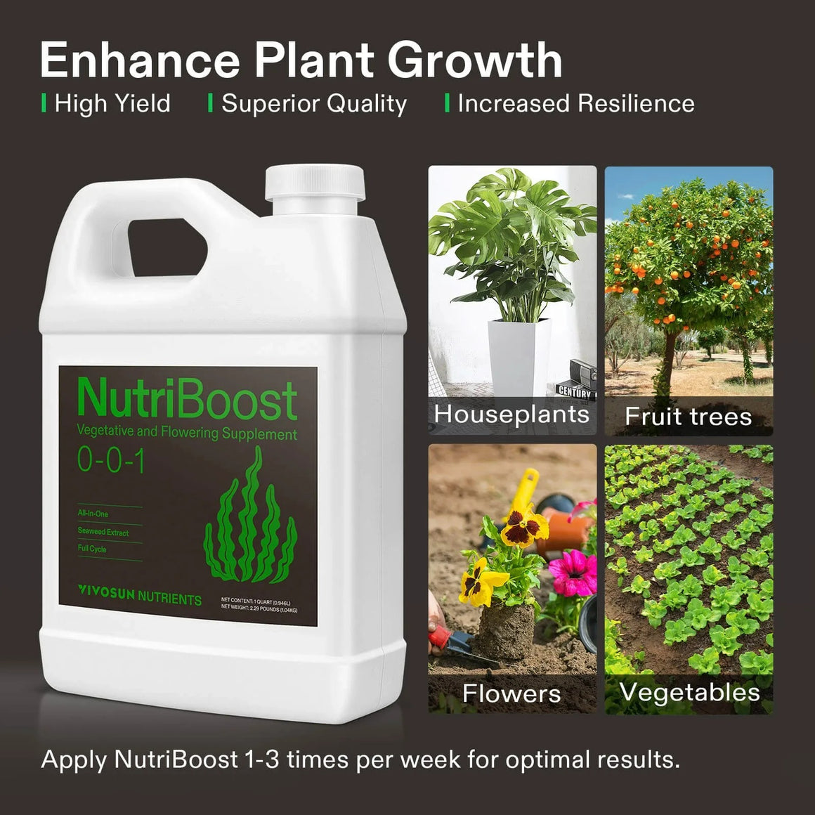 Vivosun NutriBoost liquid fertilizer for houseplants, fruit trees, flowers & vegetables. Enhances plant growth.