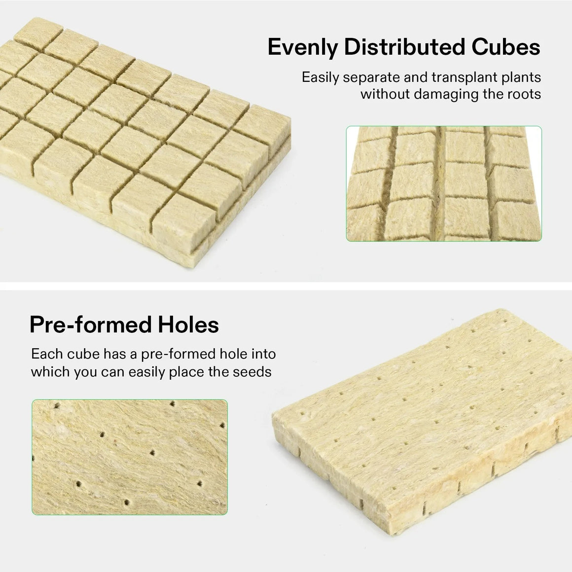 Close-up of Vivosun rockwool cubes with pre-formed holes for seeds, ideal for transplanting plants.