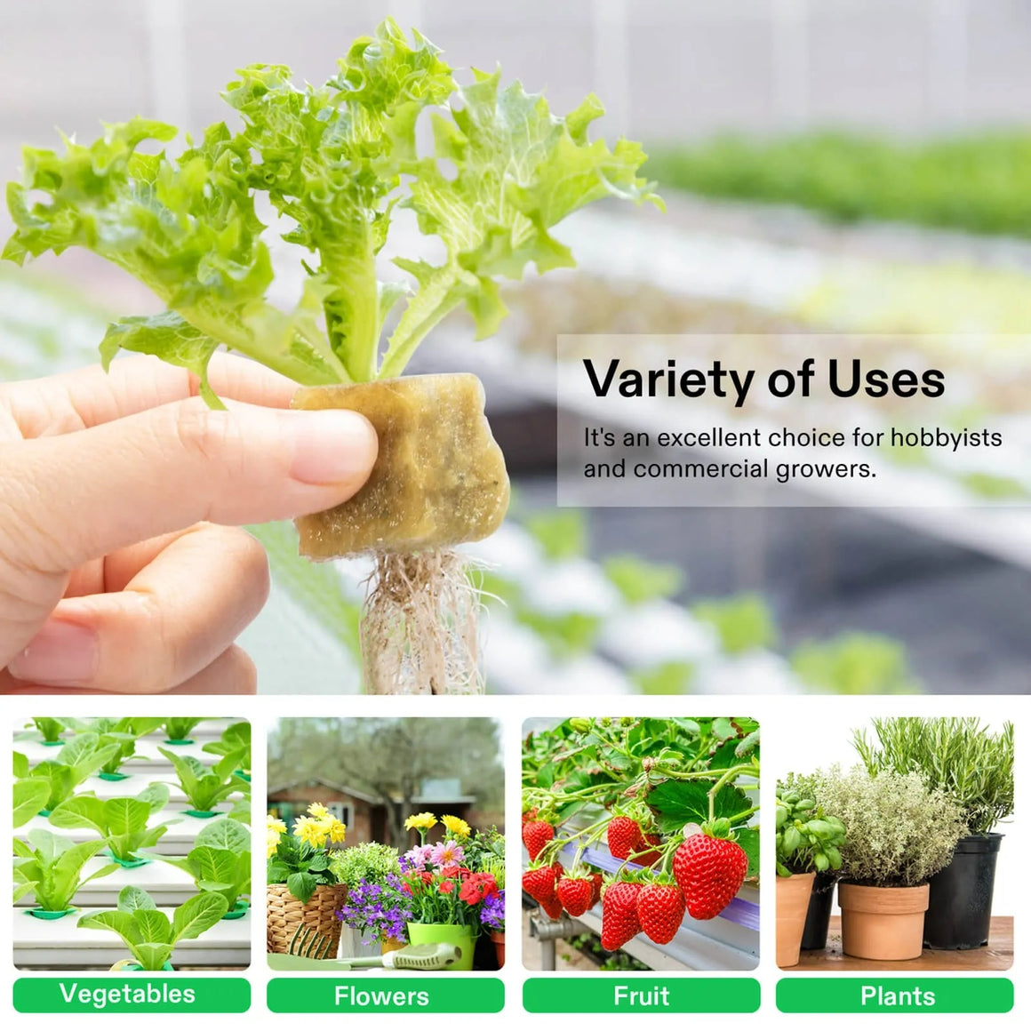 Hydroponic lettuce, strawberries, flowers, and herbs showcased in a variety of uses, from hobbyists to commercial growers.