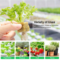 Hydroponic lettuce, strawberries, flowers, and herbs showcased in a variety of uses, from hobbyists to commercial growers.