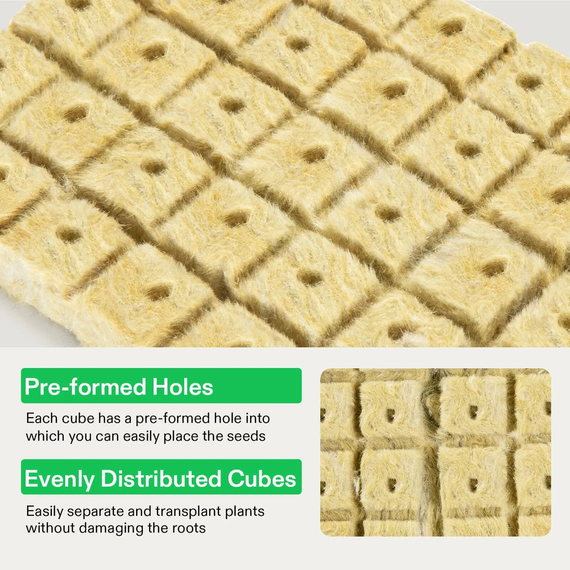 Close-up of Vivosun rockwool grow cubes with pre-formed holes for seeds.