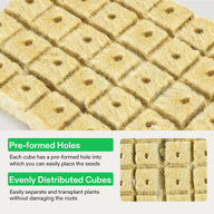 Close-up of Vivosun rockwool grow cubes with pre-formed holes for seeds.