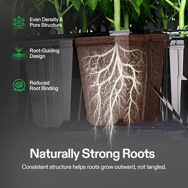 Vivosun Seed Rooter: Healthy roots grow outward, not tangled, in pots with even density and pore structure.