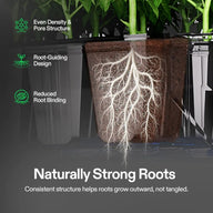 Vivosun Seed Rooter: Healthy roots grow outward, not tangled, in pots with even density and pore structure.