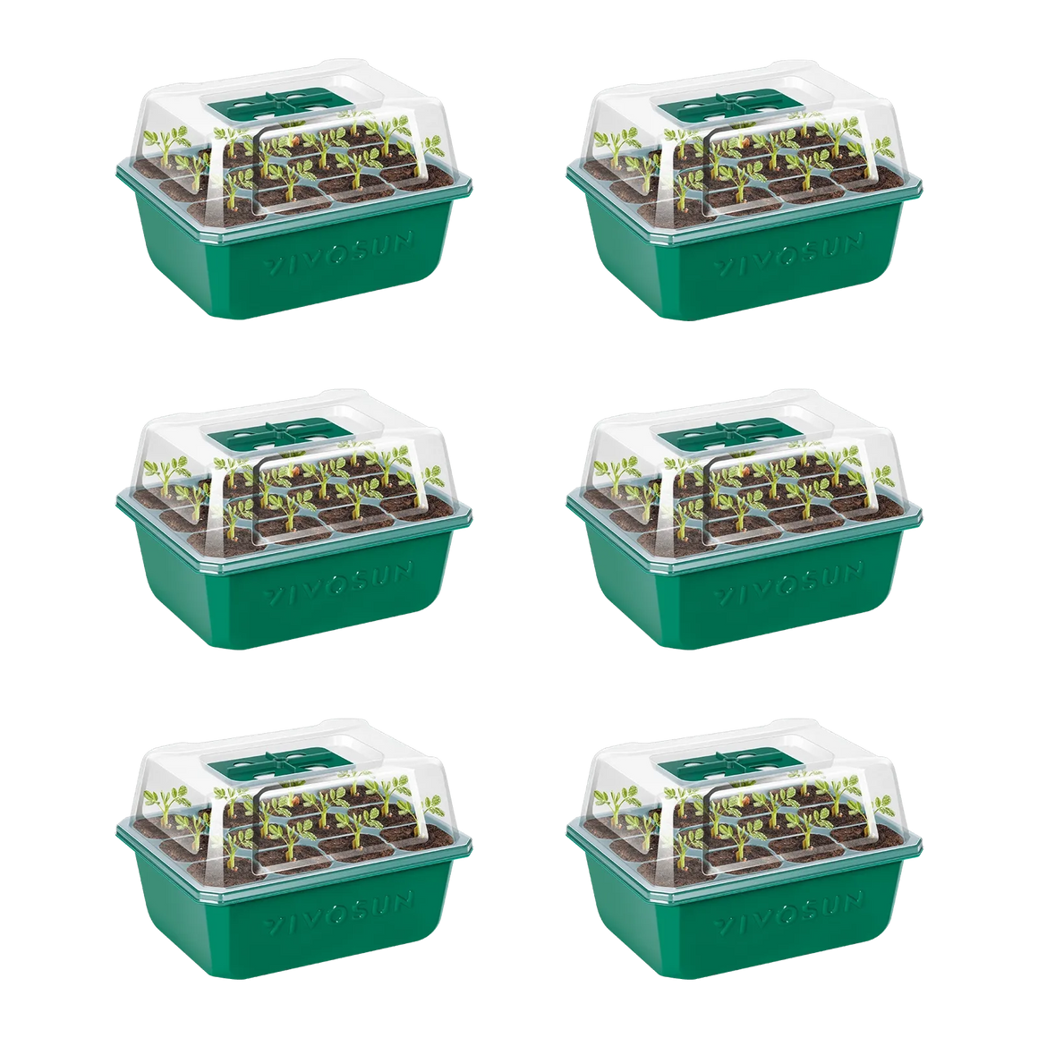 Vivosun green seed starter kit with clear lid, growing small green plants.