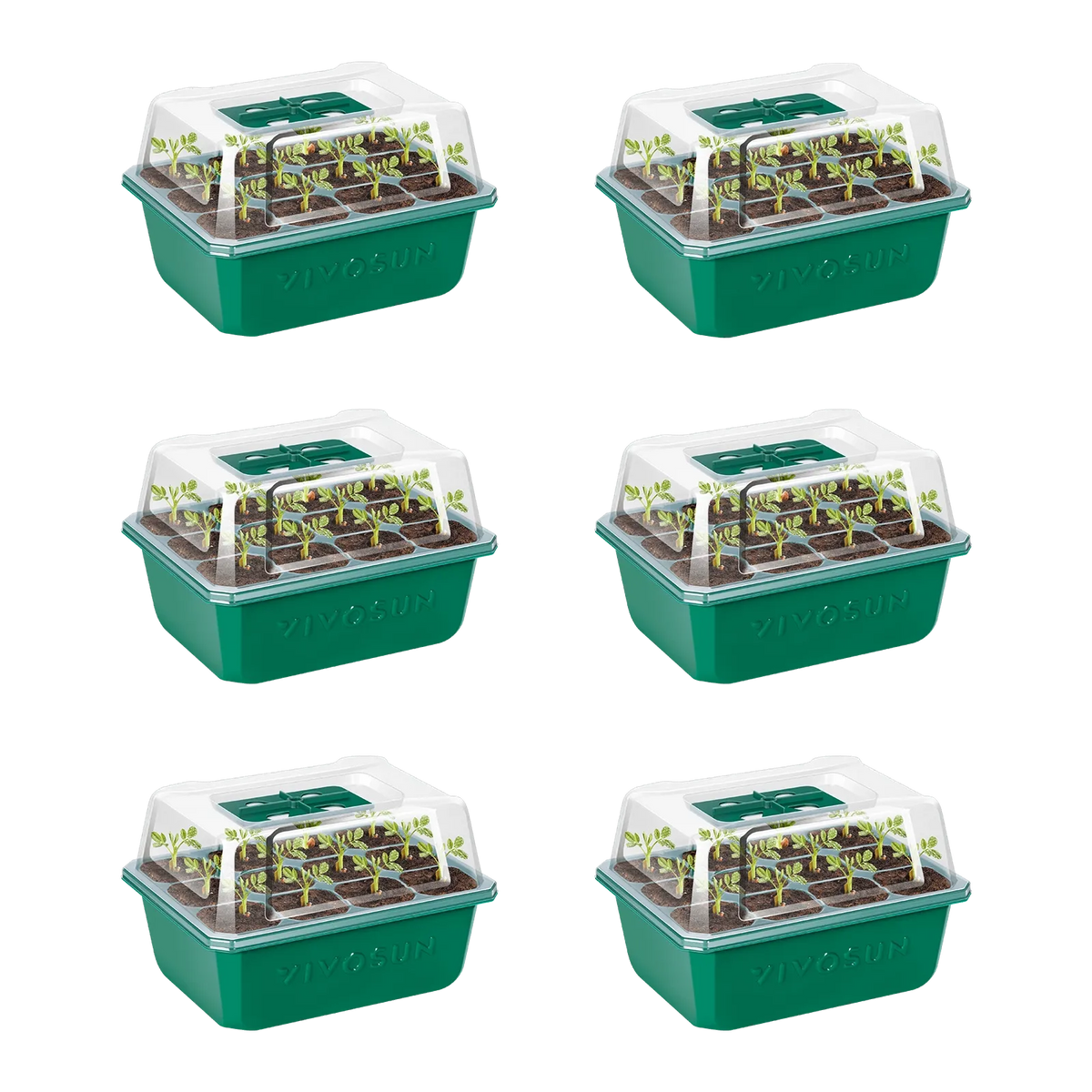 Vivosun green seed starter kit with clear lid, growing small green plants.