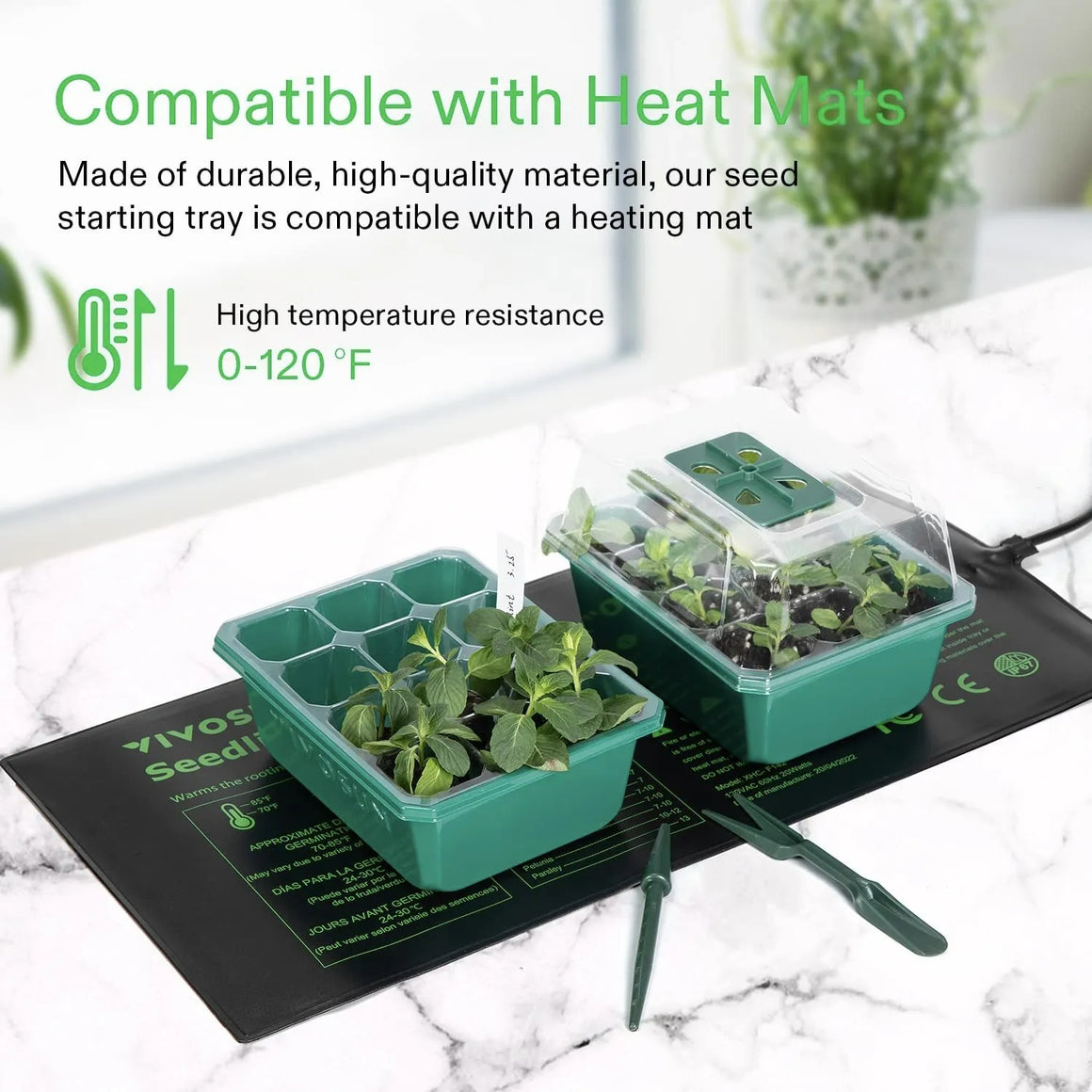 Green Vivosun seed starter tray with dome on heat mat, growing seedlings.