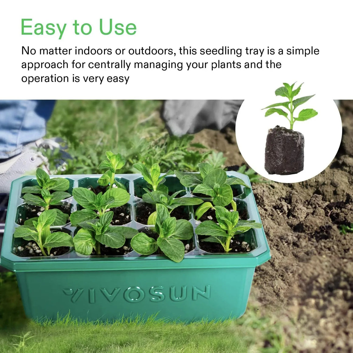 Green VIVOSUN seed starter tray with young plants and a single seedling in a peat pellet.