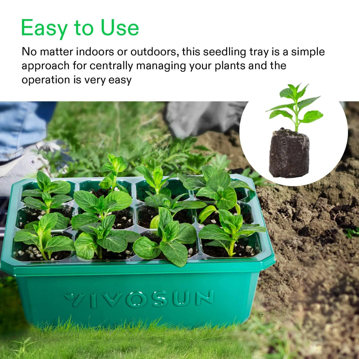 Green Vivosun seedling tray with 12 young plants indoors or outdoors.