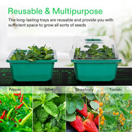 Vivosun Seedling Combo: green trays with seedlings, lids & images of peppers, mint, strawberries, tomatoes.