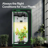 VIVOSUN smart grow tent kit featuring a fruiting plant, full-spectrum LED light, inline fan, and smart environmental controller.