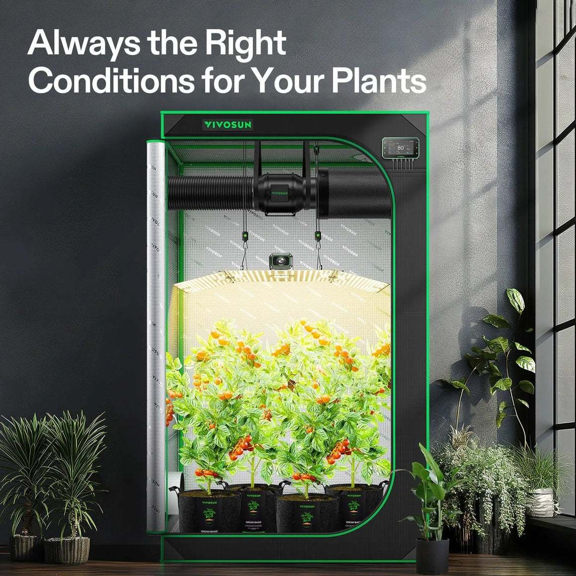 Vivosun smart grow tent kit with ripening tomato plants, full-spectrum LED grow light, inline fan, and digital controller.