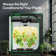 Vivosun Smart Grow Tent Kit with full-spectrum LED light, inline fan, digital controller, and two thriving tomato plants.