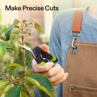Pruning shear with green handles trims a leafy branch. 