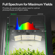 Vivosun grow light spectrum graph showing full spectrum output for plants.