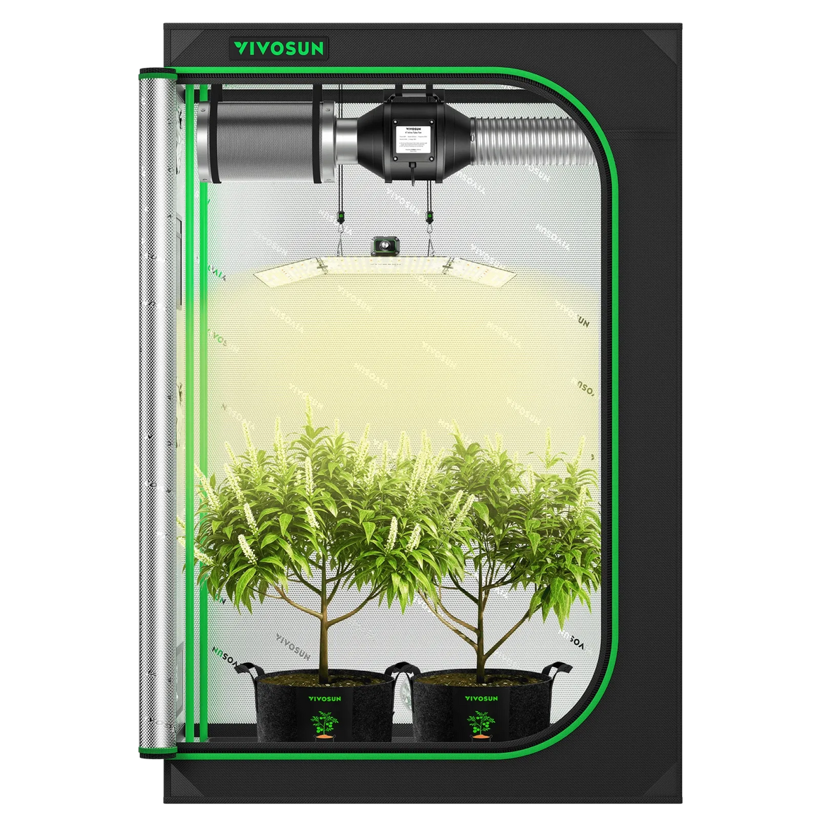 VIVOSUN 4x2 grow tent with LED lights, fan, and two potted plants.