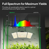 VIVOSUN grow light spectrum chart, showing peaks in blue & red, over plants under LED grow lights.